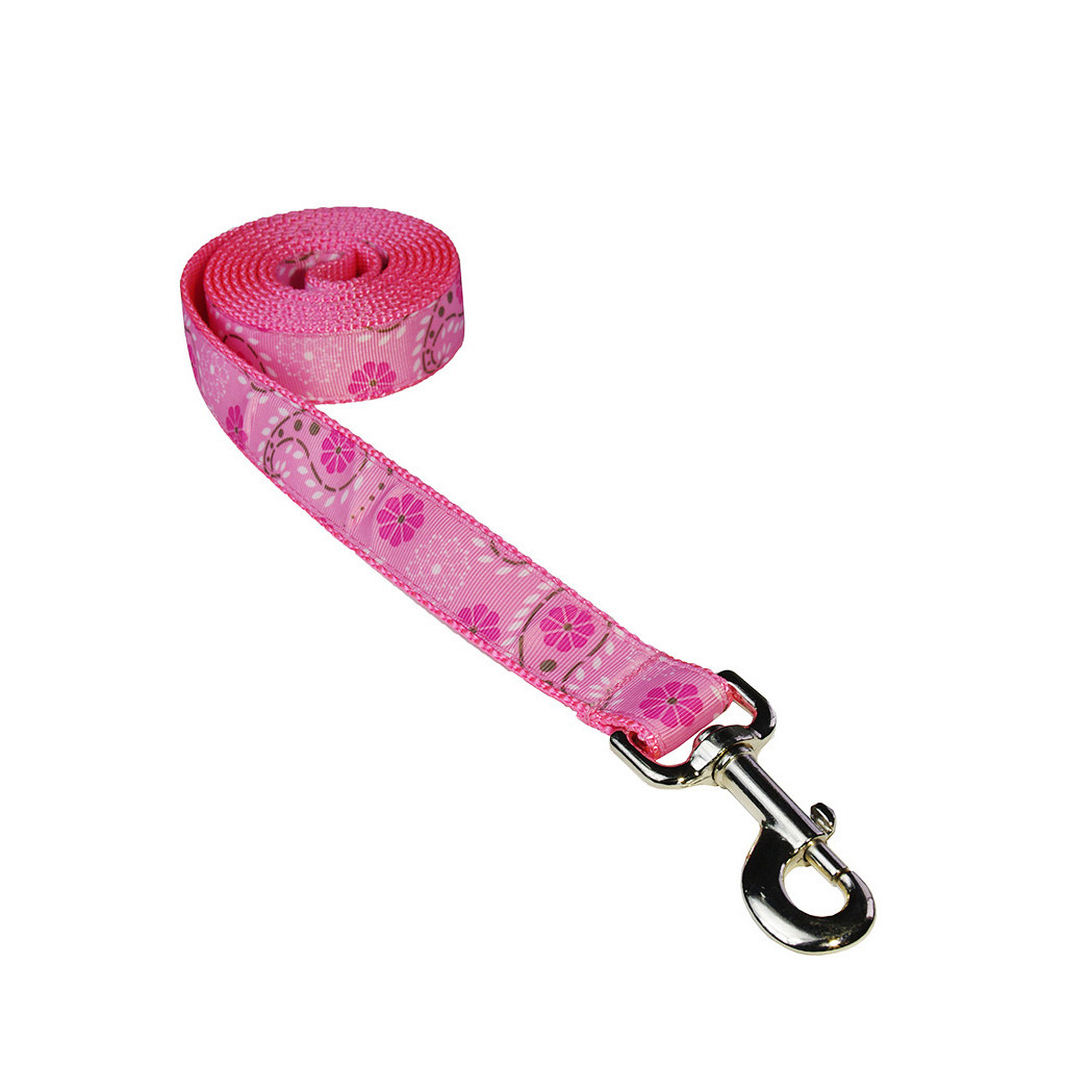 pink papyrus leashes