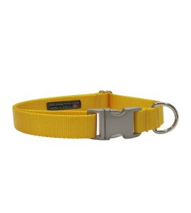 SOLID YELLOW METAL BUCKLE S-L CLR